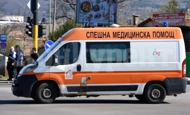 Линейка с пациент катастрофира заради кон, изскочил на пътя Кюстендил-София