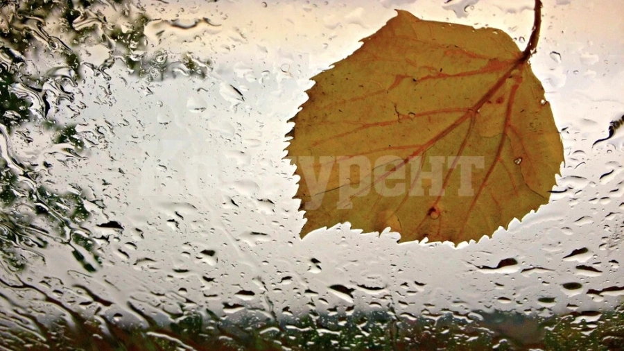 Седмицата започва с хладно време, може и да превали, но...