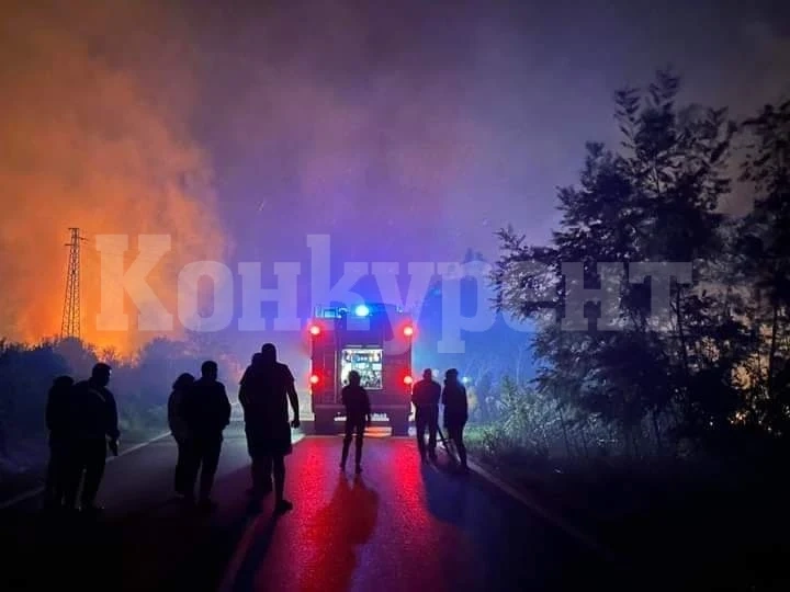 Шокиращи СНИМКИ от пожара край Бяла Слатина