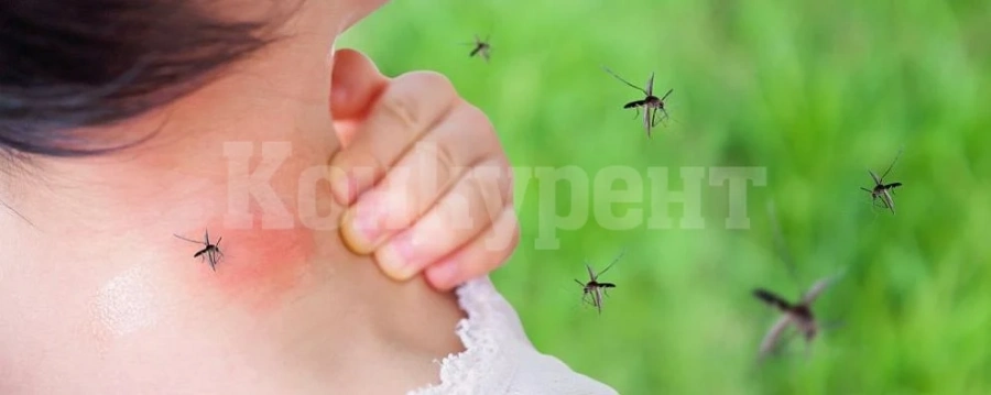 Западнонилската треска е причинила смъртта на 20 души в Гърция тази година