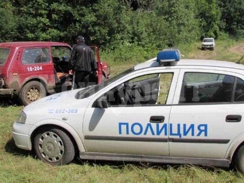 Арестуваха банда, сякла дървета във Видинско