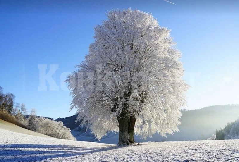 Първият сняг пада до дни