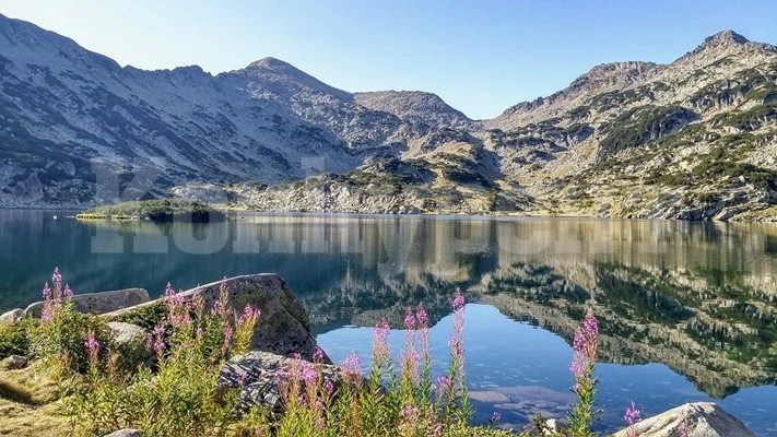 Румънец плува над 20 км в Галилейското езеро в знак на солидарност с израелския народ