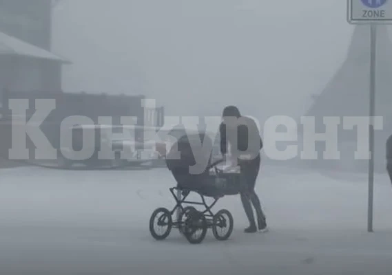 Първи сняг заваля в Германия