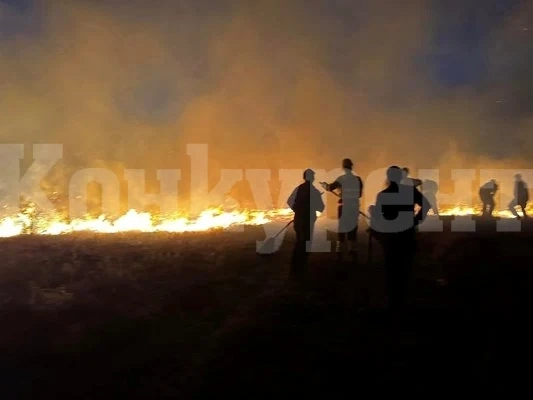 Рекордните октомврийски жеги подпалиха горски пожари