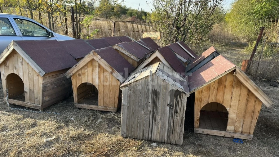 Приютът за бездомни животни в село Долна Кремена получи дарение