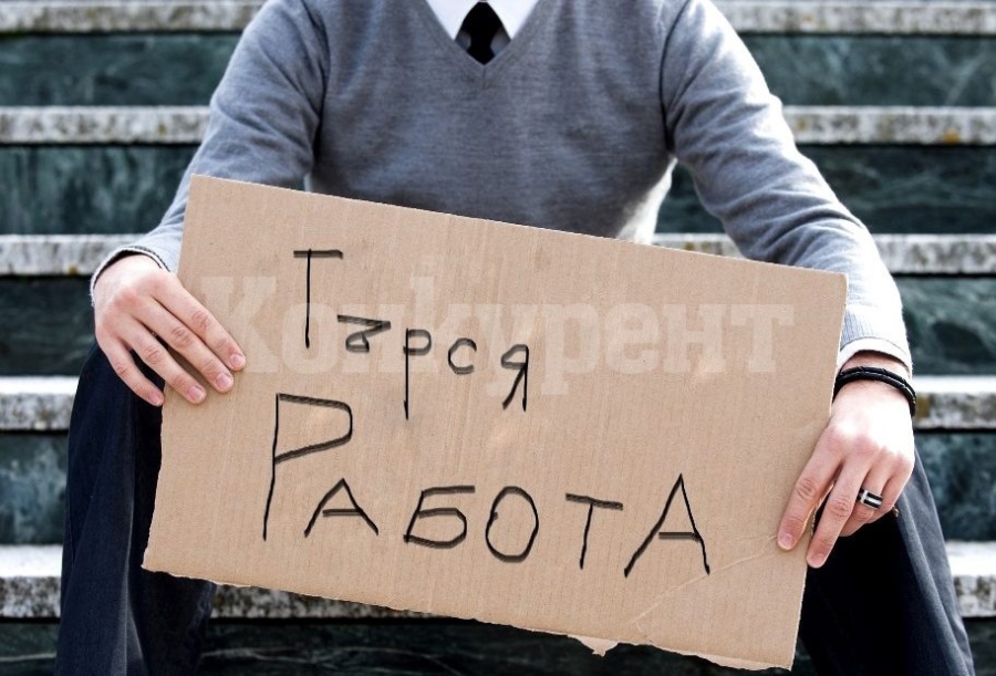 1731 са регистрираните безработни през септември в бюрото по труда във Враца 