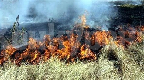 15 пожара гасили за два дни огнеборците в Монтанско