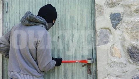 Кокошкар овърша чужда къща