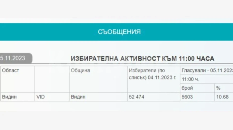 Над 10 % са гласувалите в община Видин към 11 часа