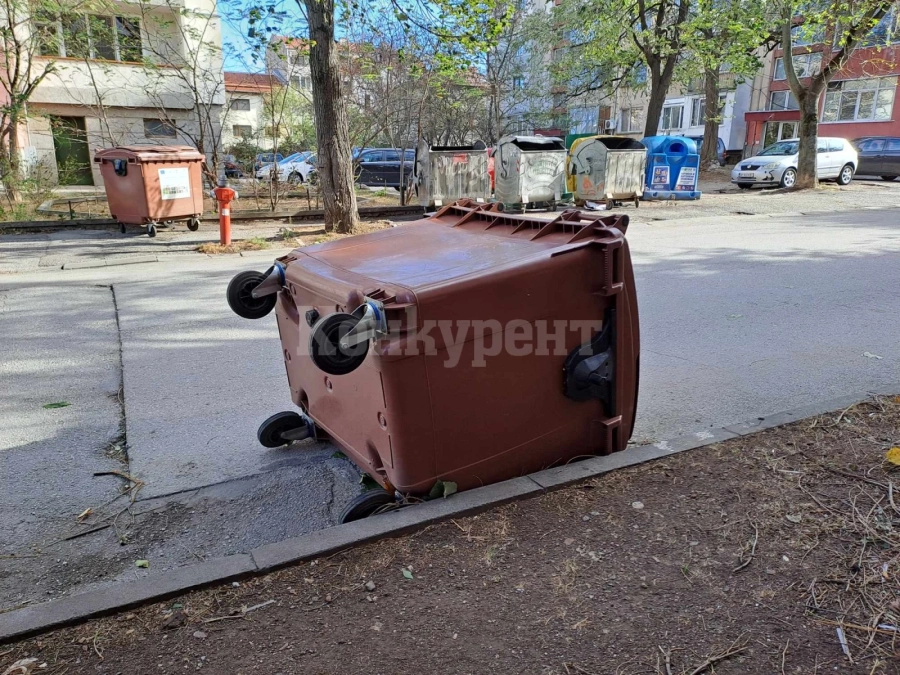 Силният вятър събори клони и обърна контейнери във Враца СНИМКИ