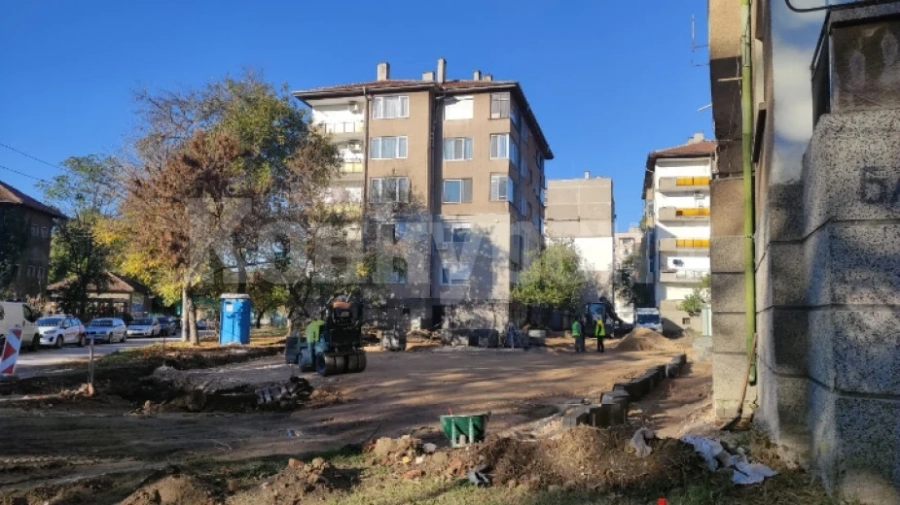 „Звездите“ с подписка срещу изсичането на дървета