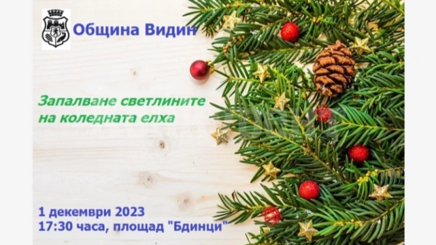Коледната елха във Видин ще светне на 1 декември