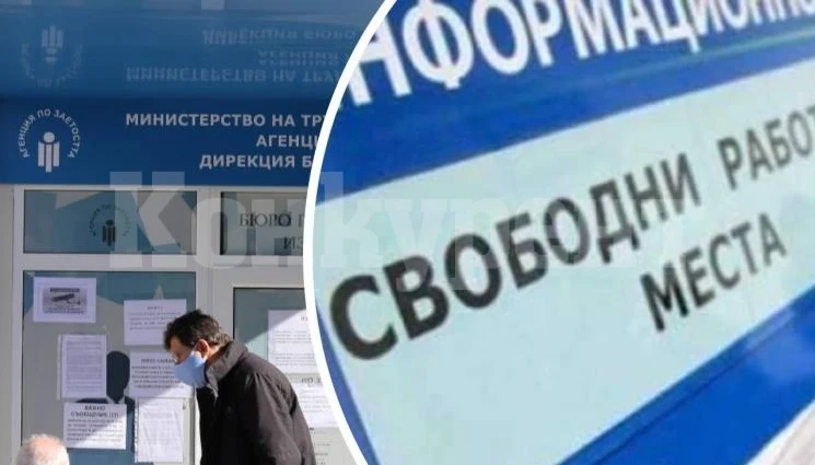 Предлагат на врачани над 300 работни места, но…