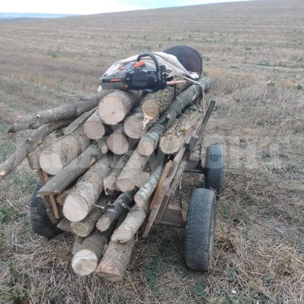 Над 420 проверки в горите направиха на територията на СЗДП за седмица