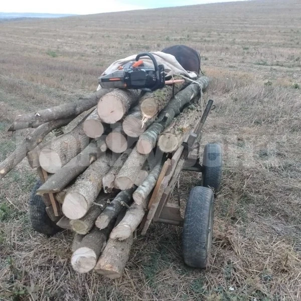 Над 420 проверки в горите направиха на територията на СЗДП за седмица
