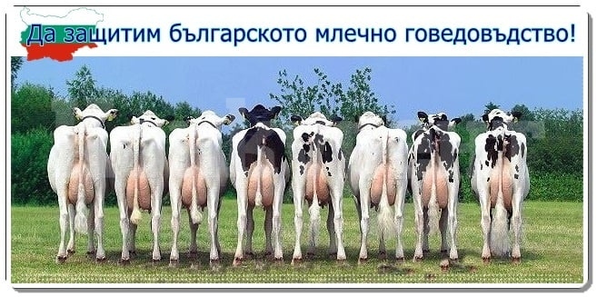 Стягат нов протест в София
