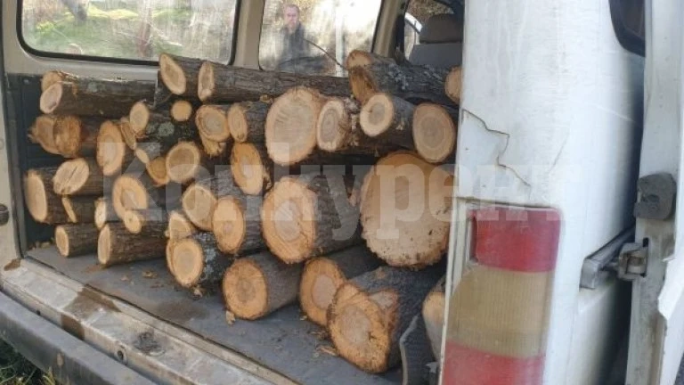 Ченгета засякоха бус с незаконни дърва във Видинско