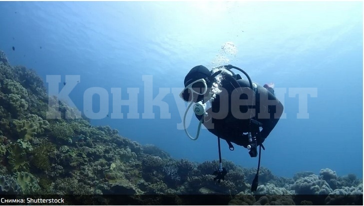 Историята се преобръща заради това откритие от дъното на Черно море край Созопол