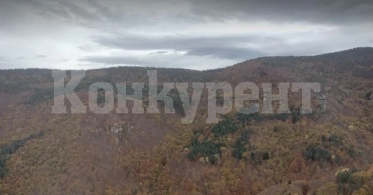 Застреляха ловец по време на хайка