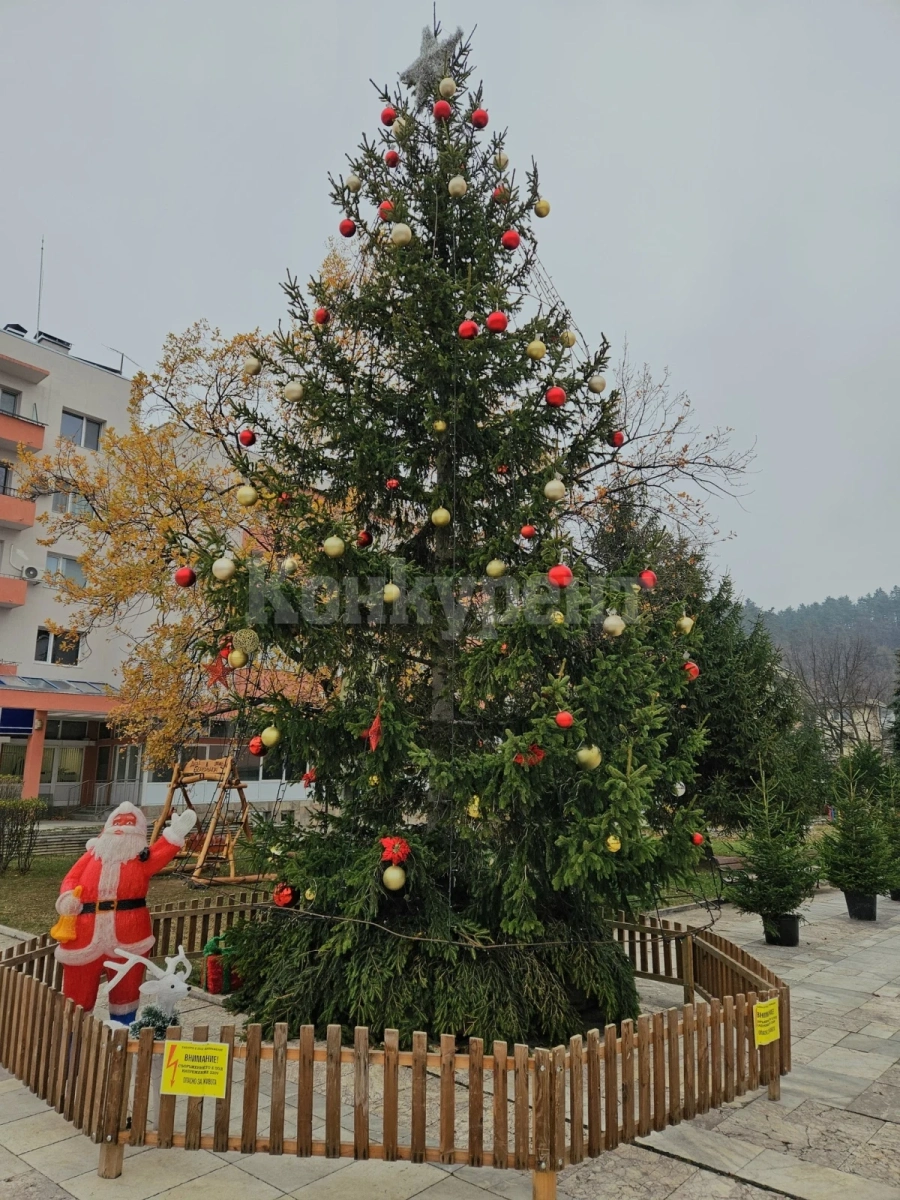 Ето кога палят светлините на коледната елха в Берковица