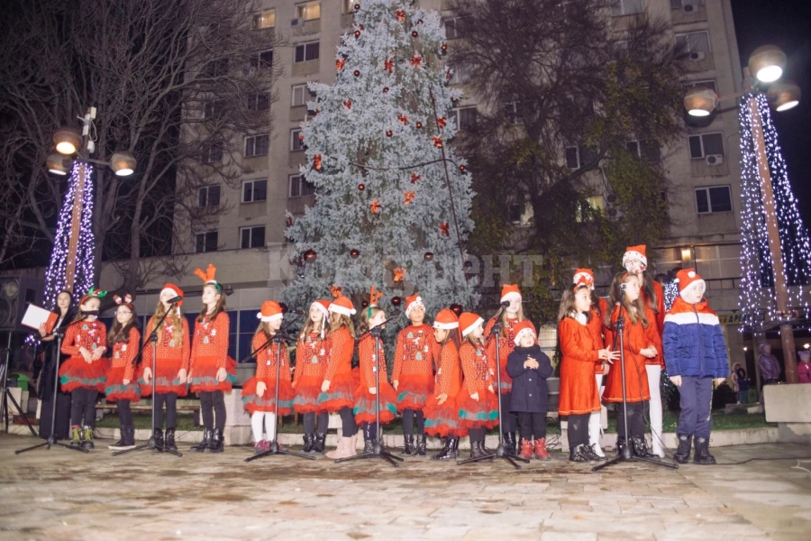 Днес палят светлините на коледната елха в Мездра 