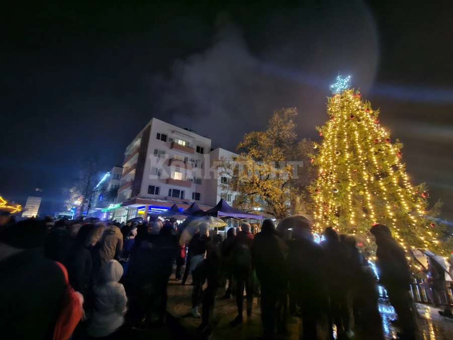Светна коледната елха в Берковица СНИМКИ