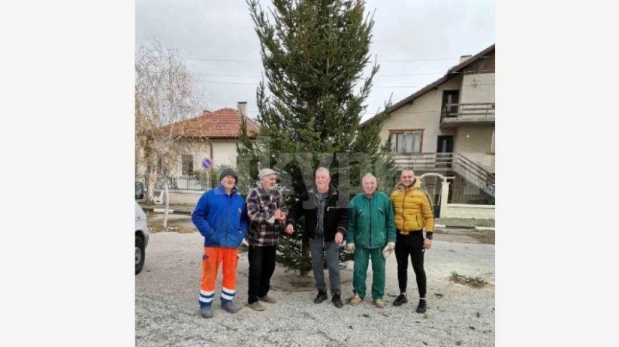 Коледна елха ще грейне в село Кутово