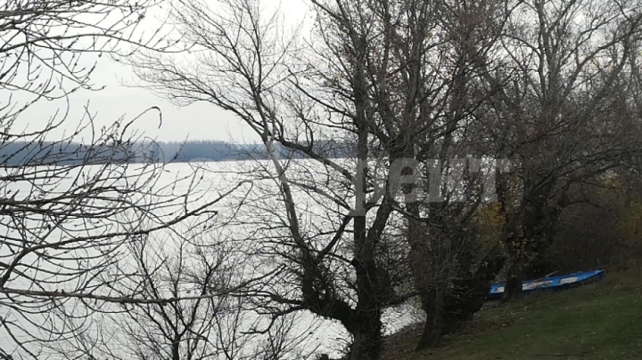 Кошава - селото, където е хваната 270-килограмова моруна