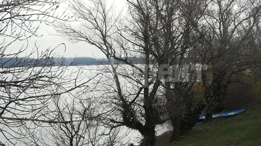 Кошава - селото, където е хваната 270-килограмова моруна