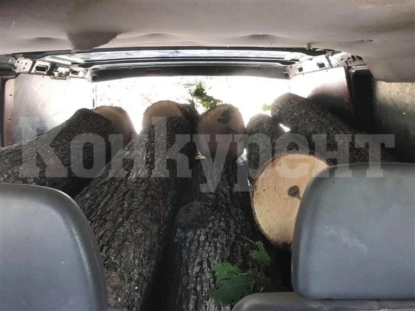 Заловиха 74-годишен дядо, напълнил багажника на „Волво“-то си с незаконни дърва