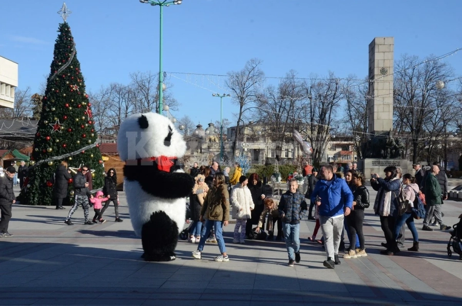 Приказна Коледа на площад „Бдинци“ СНИМКИ