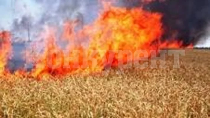 Японски робот ще гаси пожари