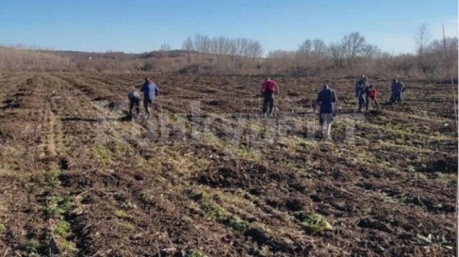 Над 3000 дървета засадиха край врачанското село Девене