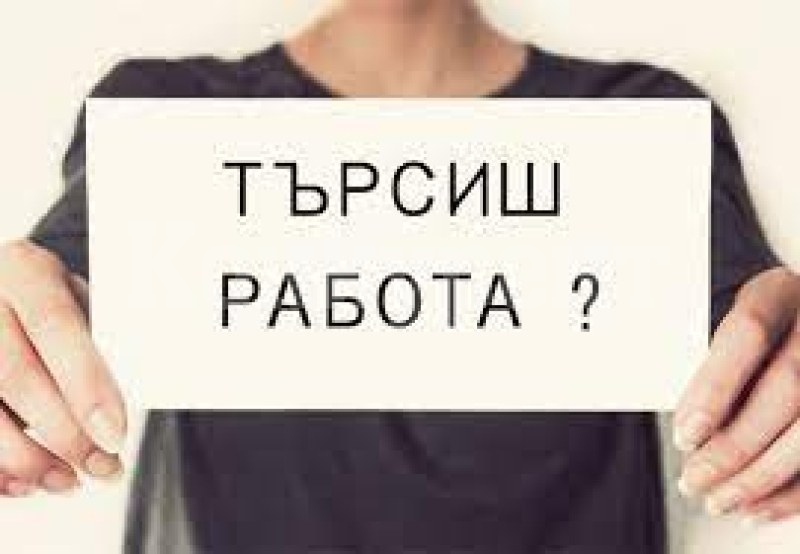 Вижте свободните работни места в Монтана 