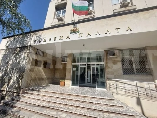 Пострадали осъдиха три общини за дупки, заледени тротоари и бездомни кучета