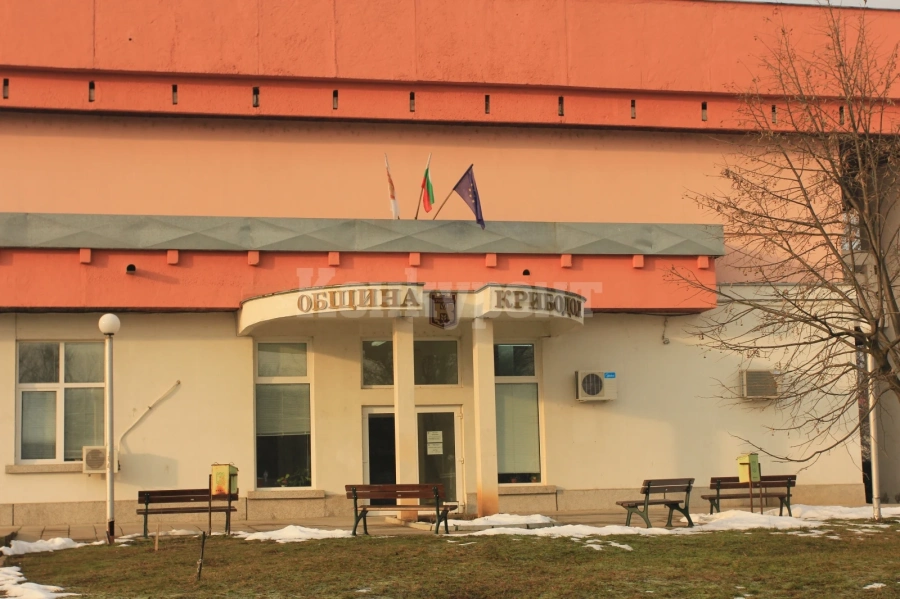 Обявиха на търг апетитен имот в Криводол