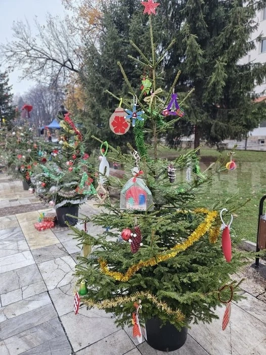Кметът на Берковица с благодарност към жителите и гостите на града