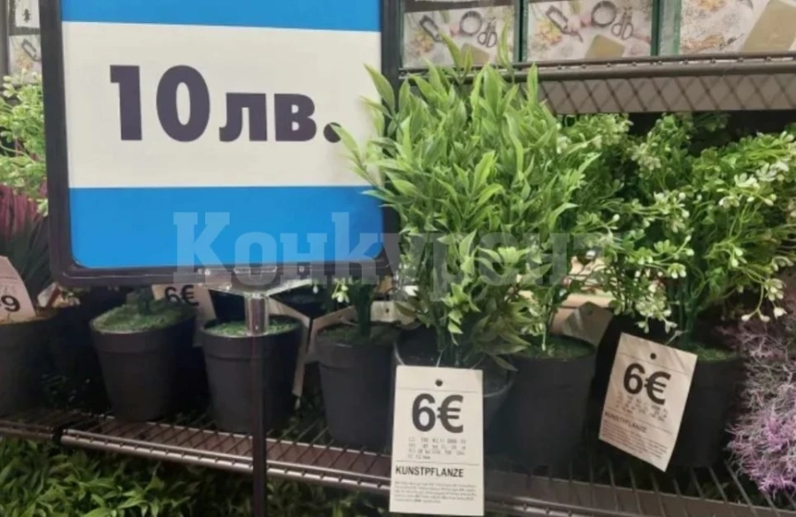 Търговци вече обявяват цените и в лева, и в евро