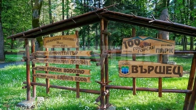 Софийска фирма инвестира над 30 милиона във Вършец