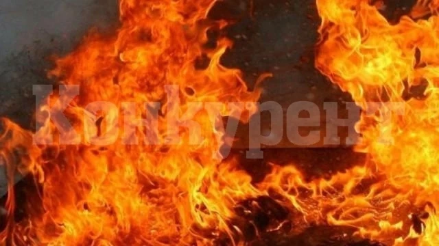 Контейнер изгоря при пожар във Видин