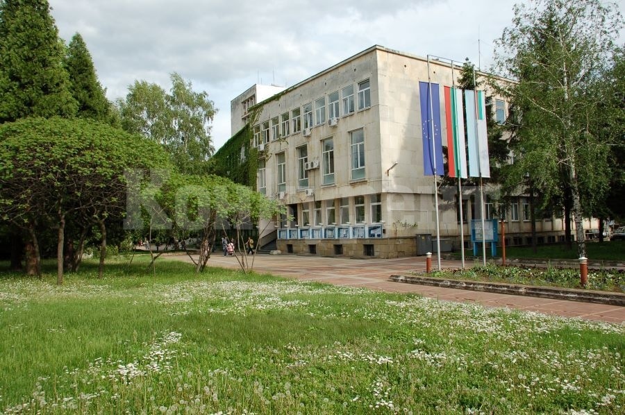 Монтана търси шеф на центъра по европолитики, заплатата е 2500 лв.