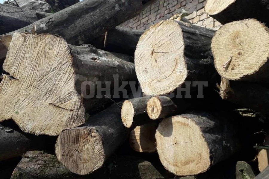 Спипаха двама с незаконни дърва във Видинско