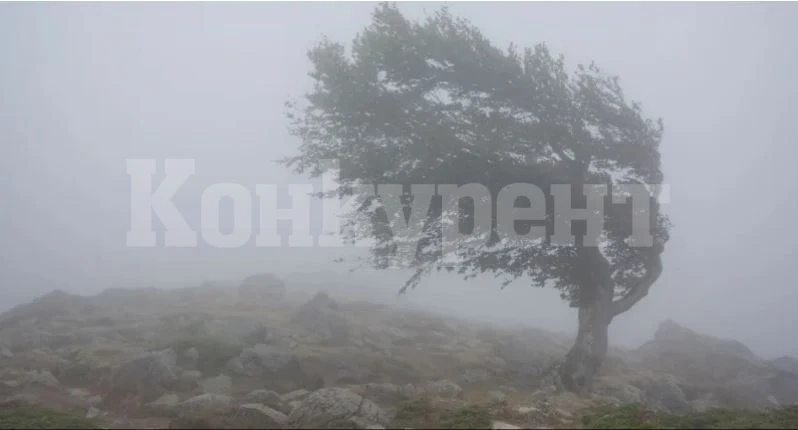 Ето къде е бил най-силен ураганният вятър вчера