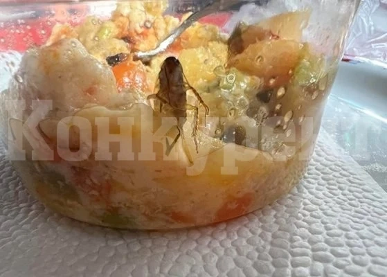 Майка намери хлебарка в храна, взета от детска кухня