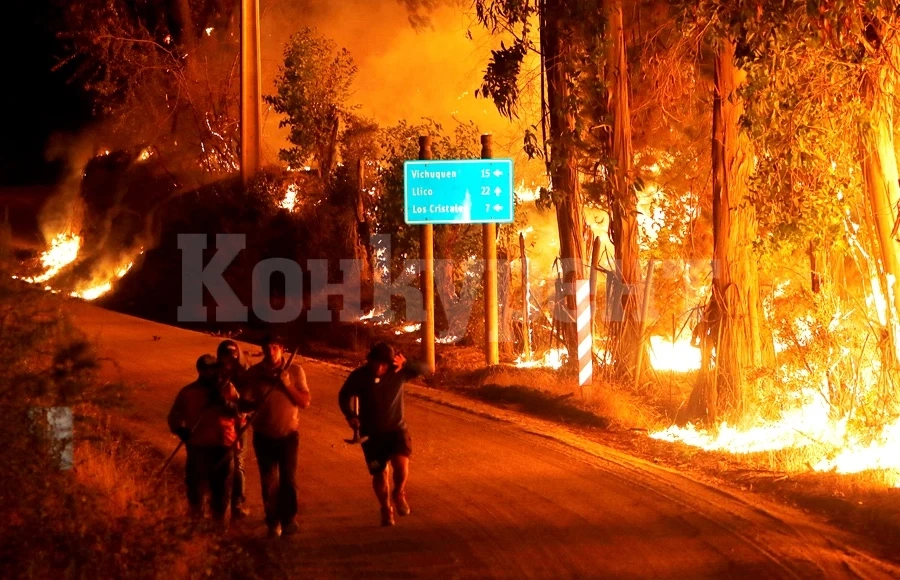Обявиха извънредно положение в Чили заради горски пожари