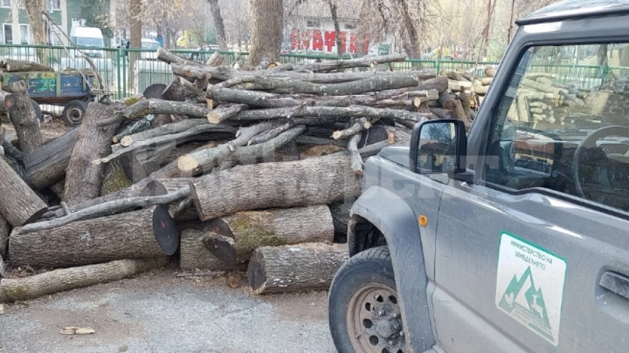 Продължават набезите на бракониери в горите в Монтанско
