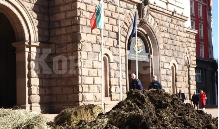 Референдум за еврото няма да има, реши Конституционният съд