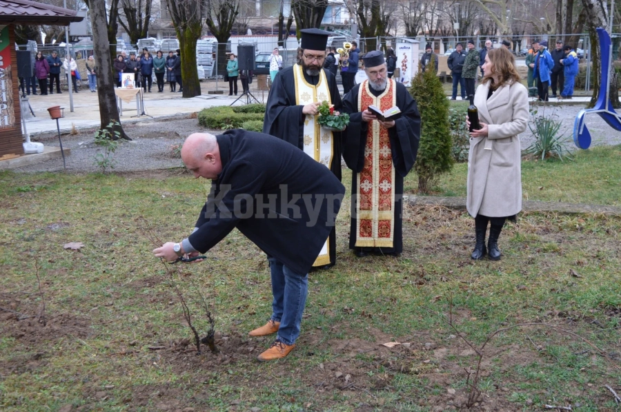 Отбелязаха празника на лозари и винаря във Вършец СНИМКИ