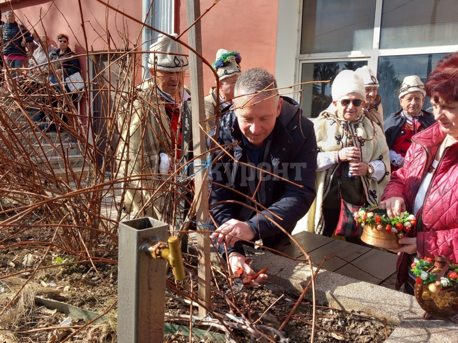 Ето как отбелязаха Трифон Зарезан в Белоградчик СНИМКИ